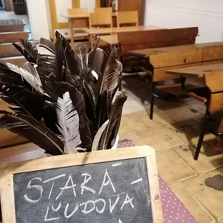 Πανσιόν U Bociana *